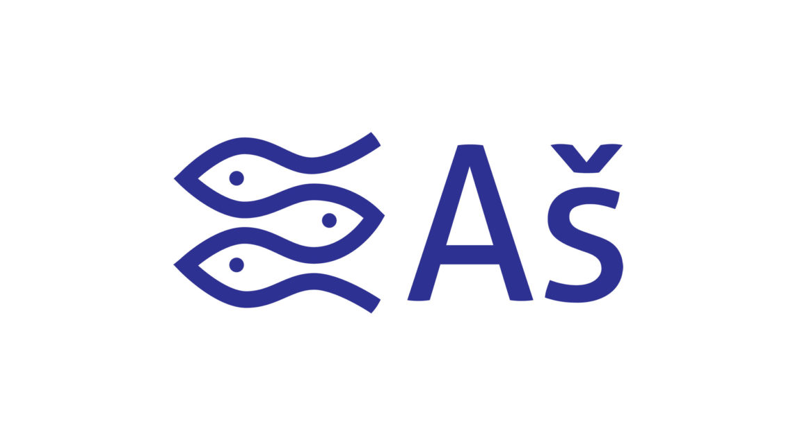 Město Aš